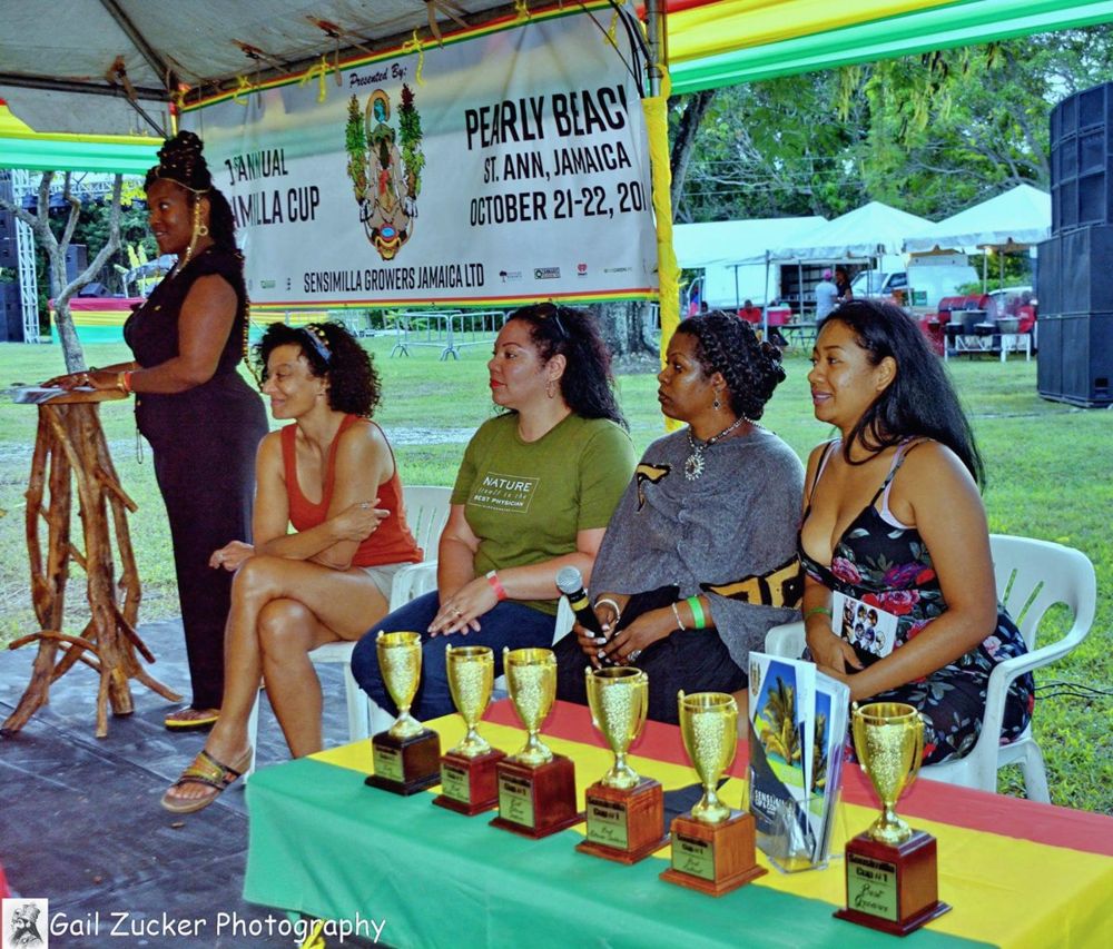 Dr. Lakisha on a panel in Jamaica